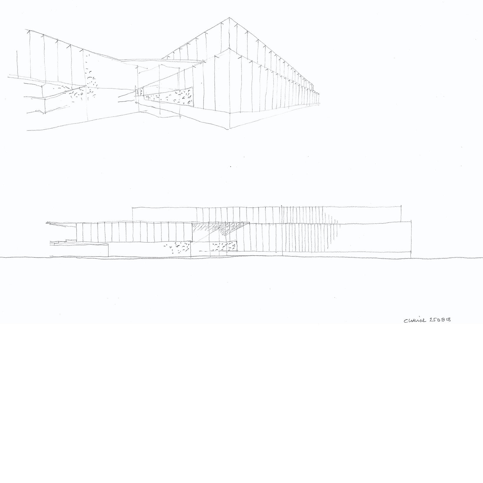 croquis.jpg