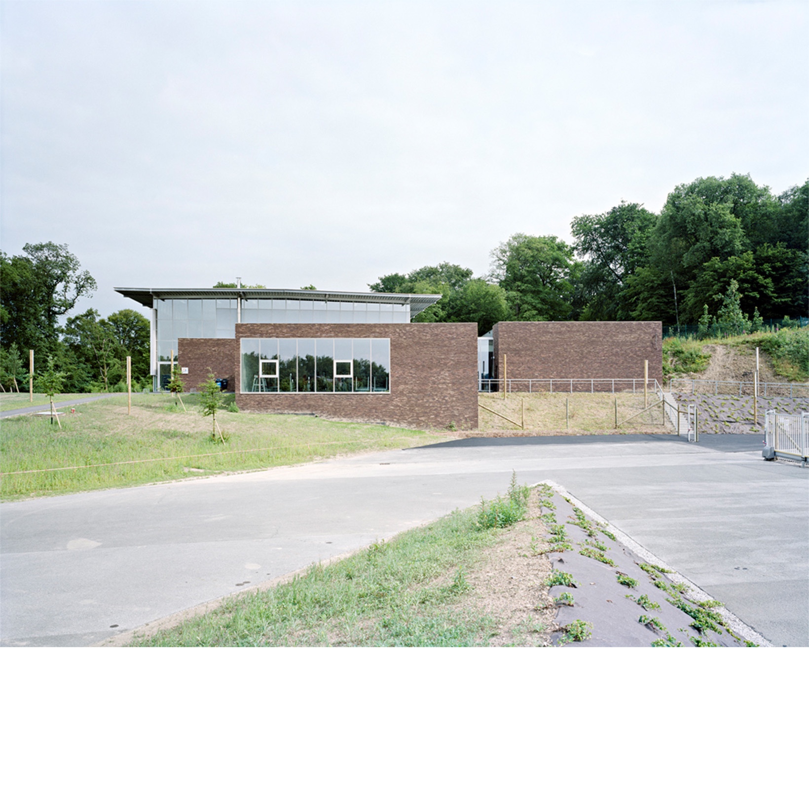 04.jpg