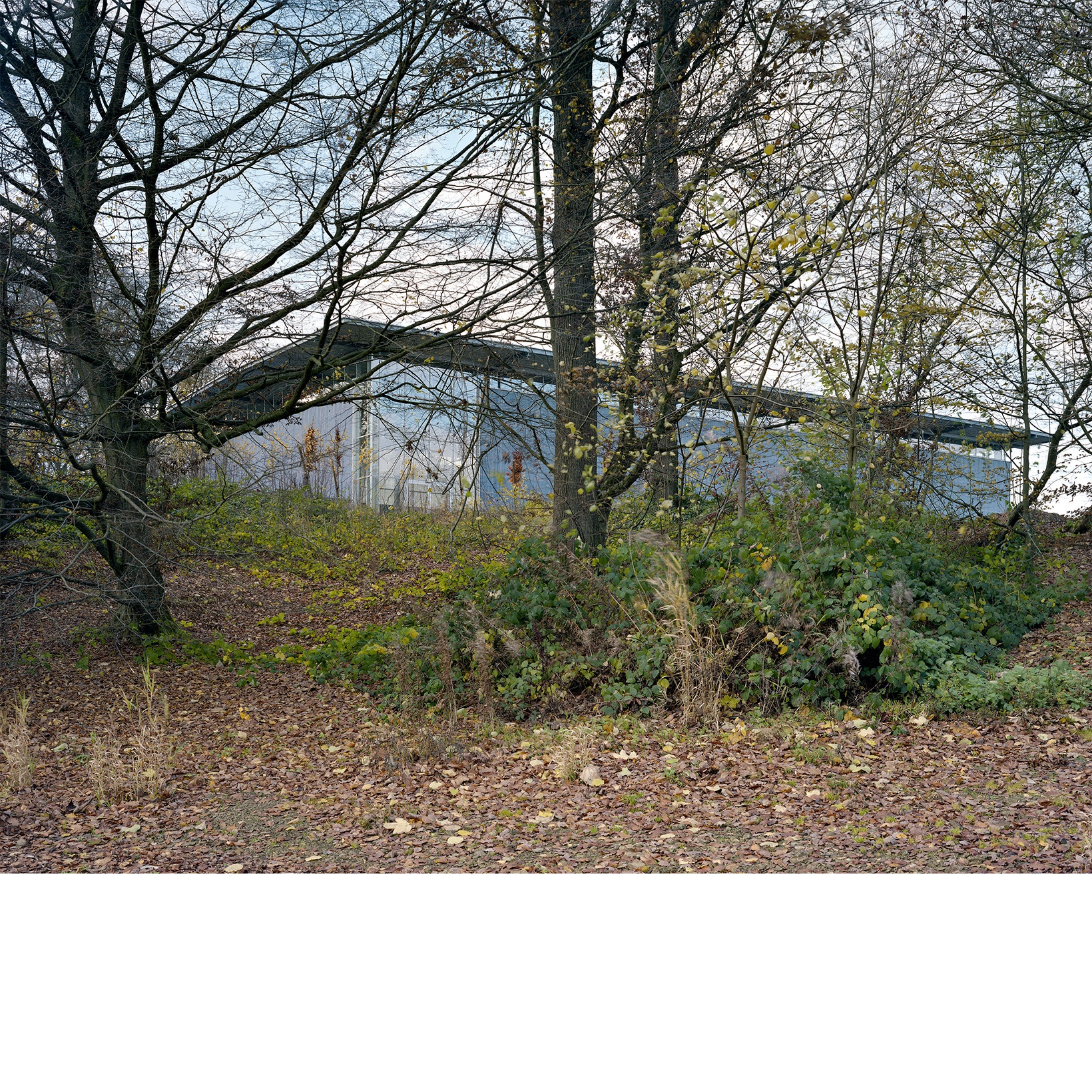 05.jpg