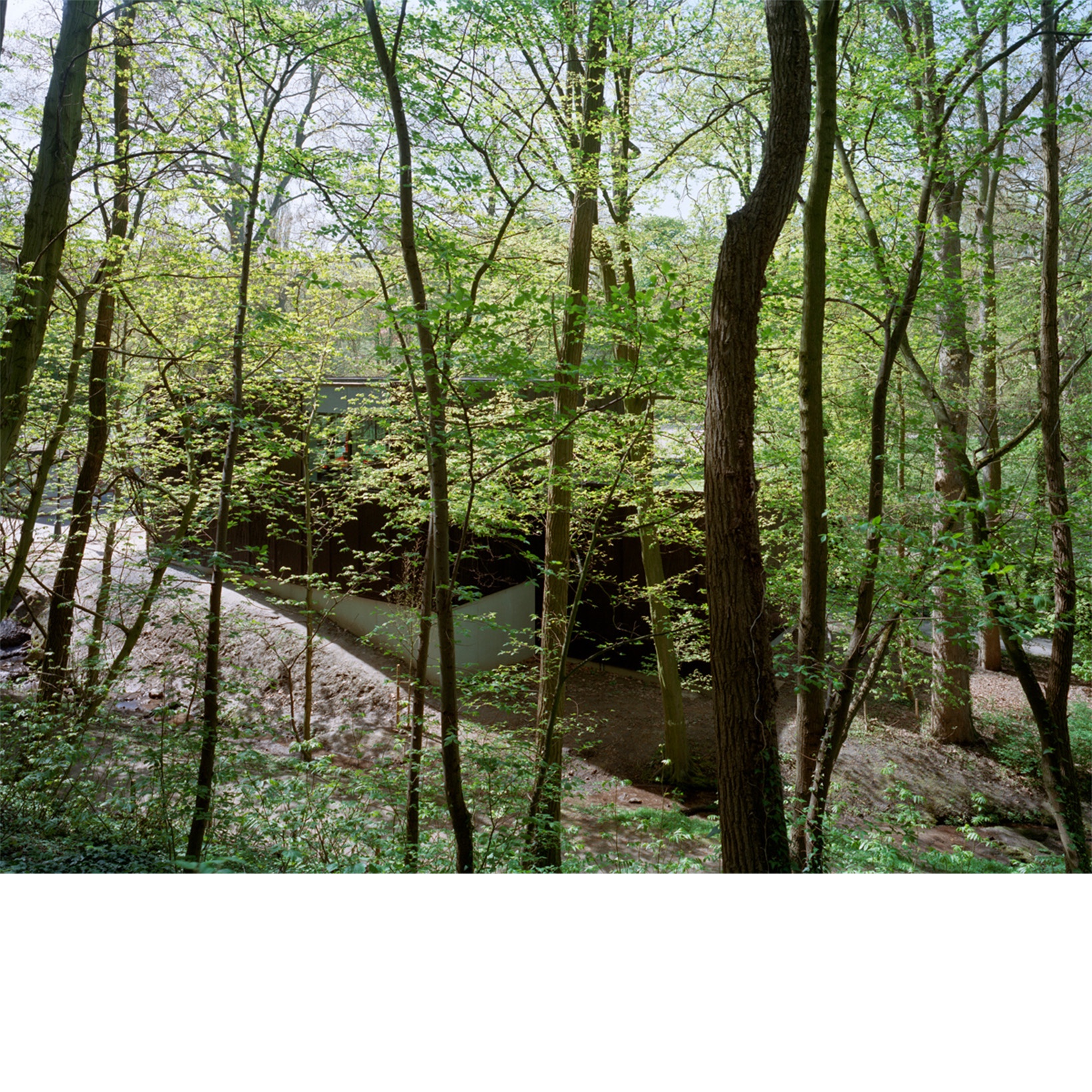 04.jpg