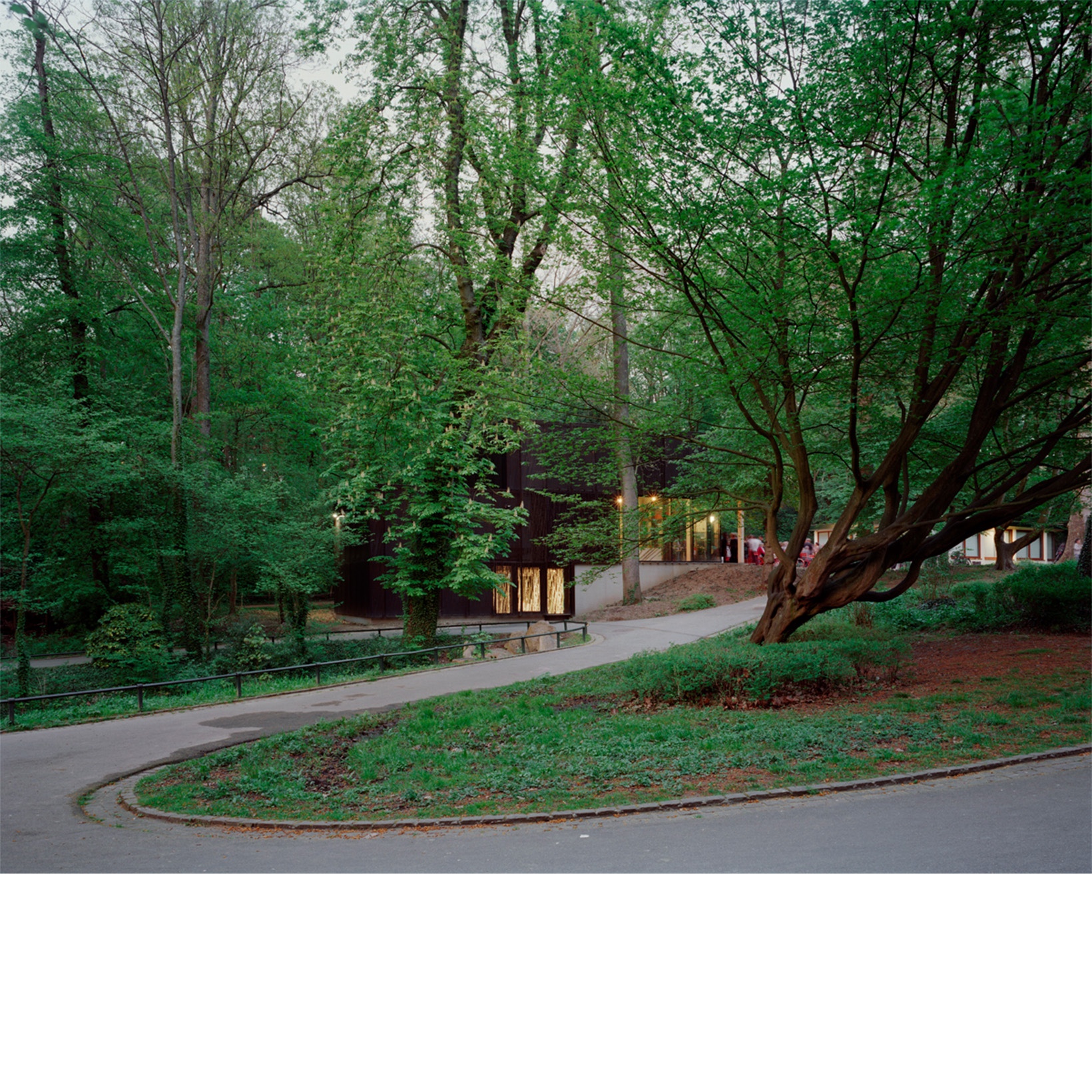 05.jpg